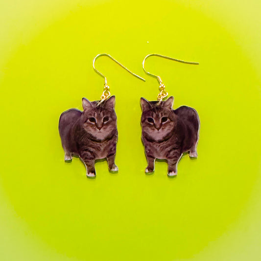 OIIA cat meme earring